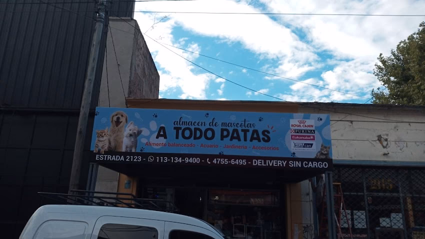 A todo patas