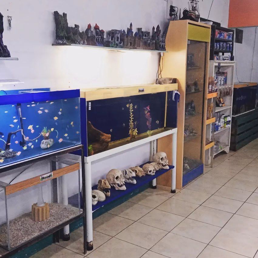 Acuario Aguas dulces