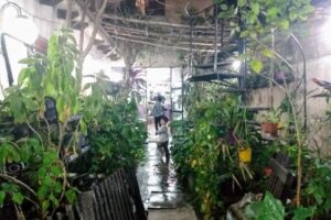 Acuario de catamarca