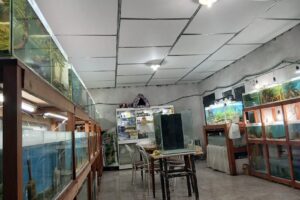 Acuario Splender Tucuman