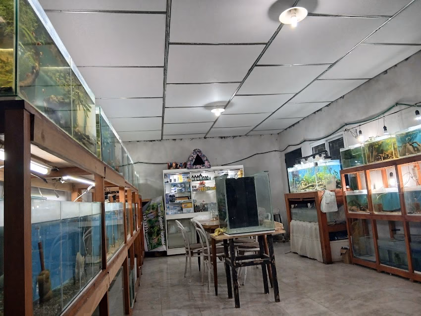 Acuario Splender Tucuman