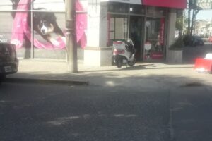 Acuario y Veterinaria Barbus