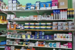 Agroforestal TierraNorte Wanda Misiones