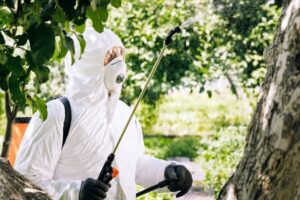 Agroquímica Y Fumigaciones San Bernardo