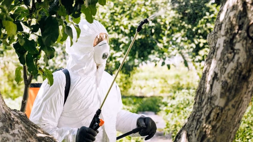 Agroquímica Y Fumigaciones San Bernardo