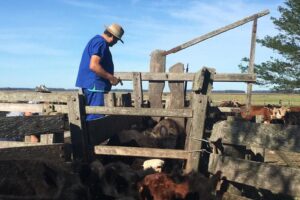 Agroveterinaria El Arca