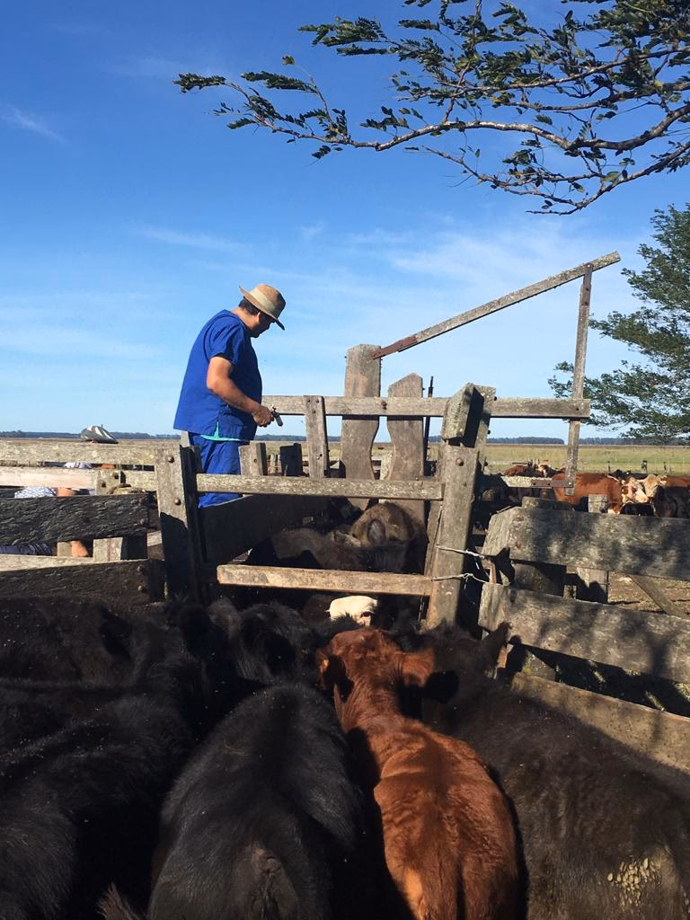 Agroveterinaria El Arca
