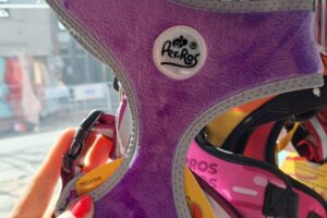 Akazan Tienda Para Mascotas