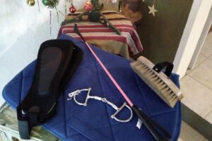 Alazana Forrajeria Boutique