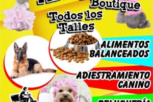 Alfa Tienda de Mascotas y Peluquería Canina