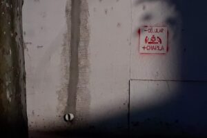 Alimento Para Mascotas Sorrento