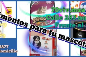 Alimento para mascotas Tachitos