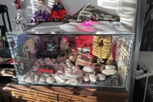 Alimento Vivo Daniel