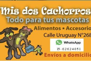 Alimento y accesorios para mascotas Mis2kchorros