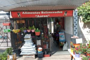 Alimentos balanceado Aaron