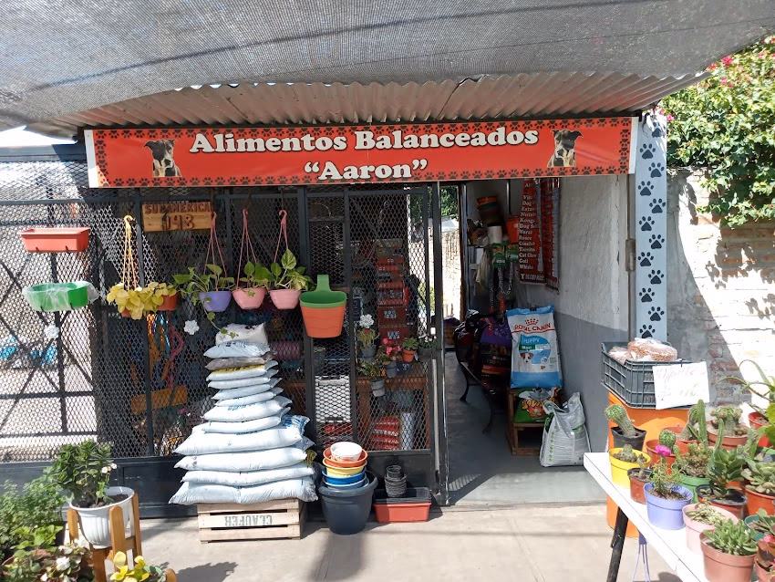 Alimentos balanceado Aaron