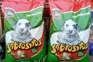 Alimentos Para Gatos y Perros