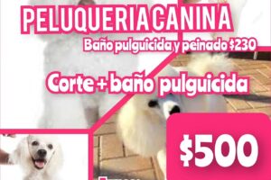 Alimentos para mascotas chokos