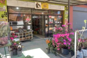 Alimentos Para Mascotas Los Peques