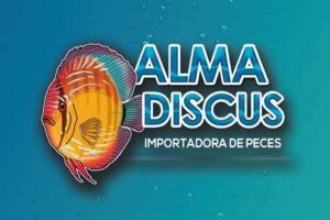 Alma discus