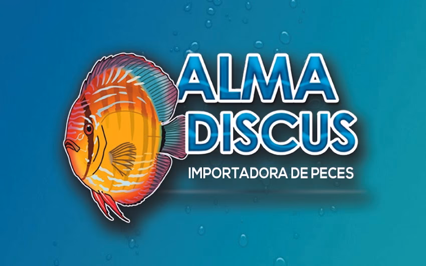 Alma discus