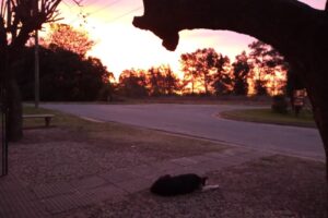 Almacén el descanso