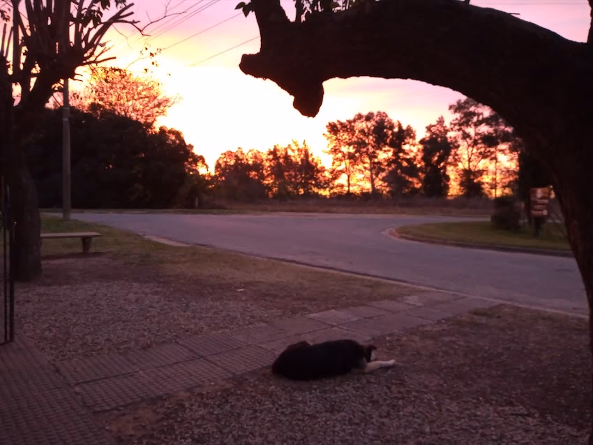 Almacén el descanso