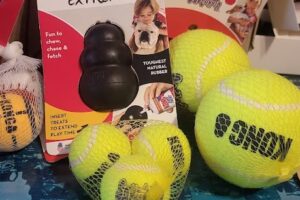 Almagro Petshop online 24hs