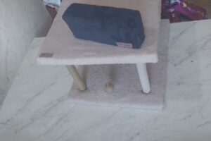 Alta Pampa Forrajeria