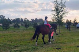 Altos de Bermudez Sa