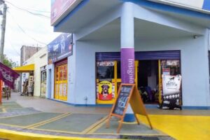 Amici Comida para mascotas