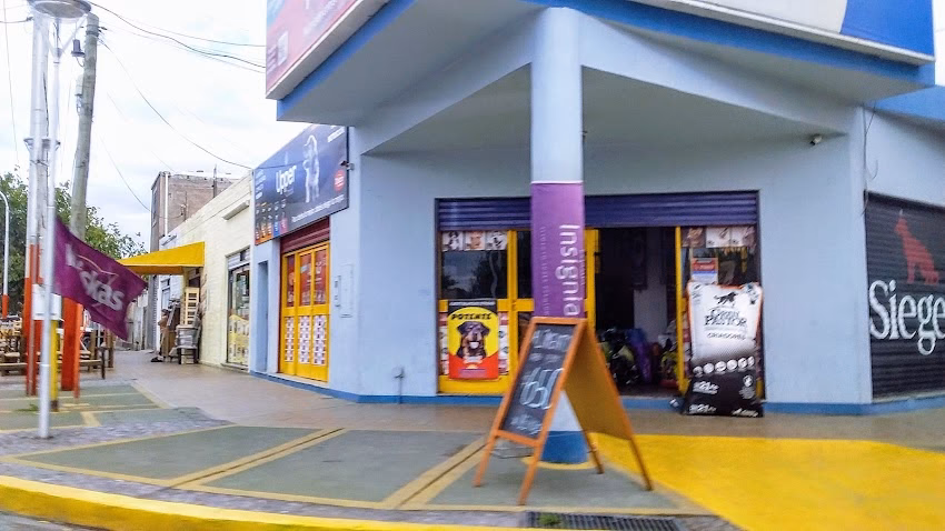 Amici Comida para mascotas