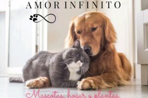 Amor Infinito