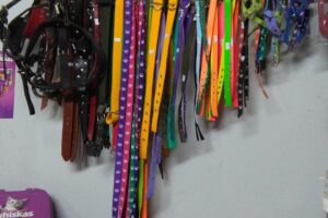 Amores Perro Pet Shop