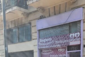 Angueto Petshop Tucuman 2435 Caba