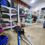 Animaladas Pet Shop