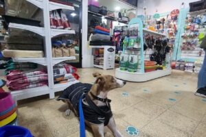 Animaladas Pet Shop
