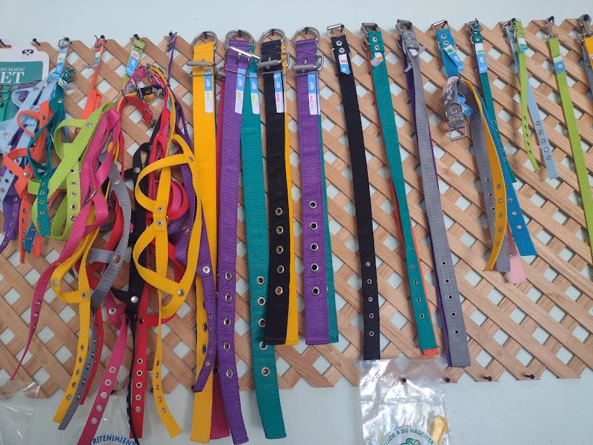 Animalandia Forrajeria