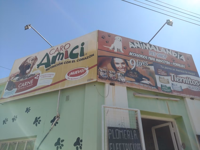 Animalandia Pets shop