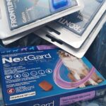 Animales Sueltos Pet Shop