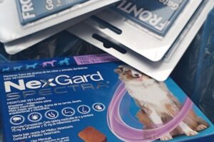 Animales Sueltos Pet Shop