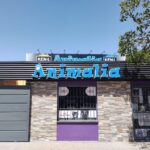 Animalia Veterinaria