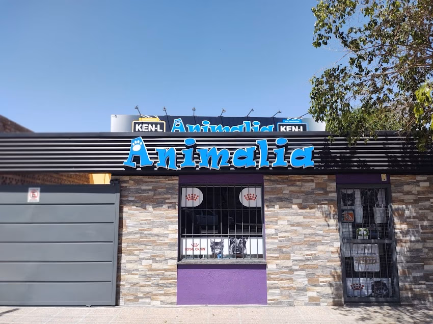 Animalia Veterinaria