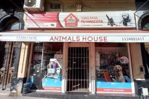 Animals House