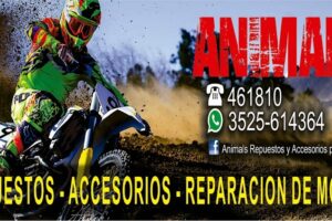 Animals Repuestos y Accesorios