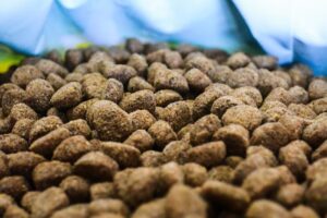 Animarket petshop Don Torcuato