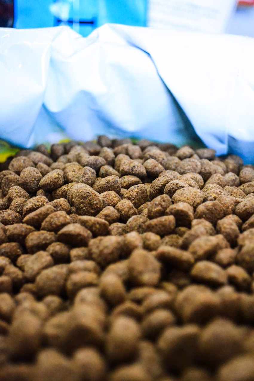 Animarket petshop Don Torcuato