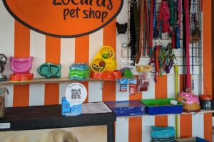 Annie Locuras Pet Shop