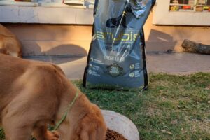 Anubis Alimento Premiums Para Mascotas