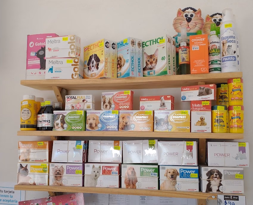 Apolos Shop Forajería Pet Shop